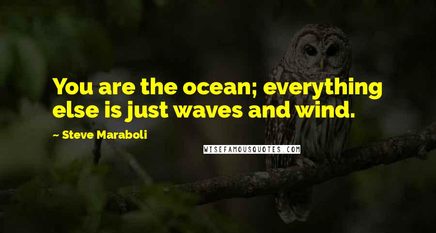 Steve Maraboli Quotes: You are the ocean; everything else is just waves and wind.