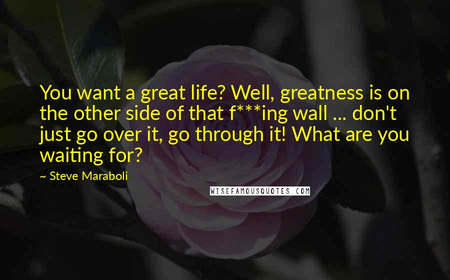 Steve Maraboli Quotes: You want a great life? Well, greatness is on the other side of that f***ing wall ... don't just go over it, go through it! What are you waiting for?