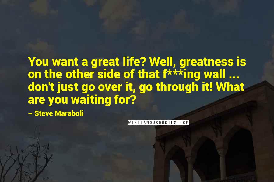 Steve Maraboli Quotes: You want a great life? Well, greatness is on the other side of that f***ing wall ... don't just go over it, go through it! What are you waiting for?