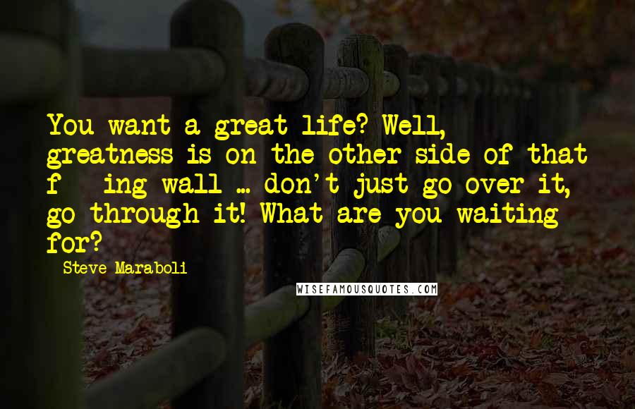 Steve Maraboli Quotes: You want a great life? Well, greatness is on the other side of that f***ing wall ... don't just go over it, go through it! What are you waiting for?