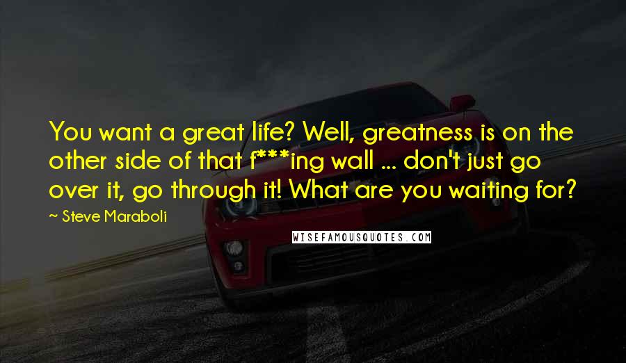 Steve Maraboli Quotes: You want a great life? Well, greatness is on the other side of that f***ing wall ... don't just go over it, go through it! What are you waiting for?