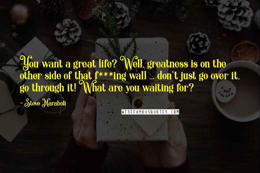 Steve Maraboli Quotes: You want a great life? Well, greatness is on the other side of that f***ing wall ... don't just go over it, go through it! What are you waiting for?