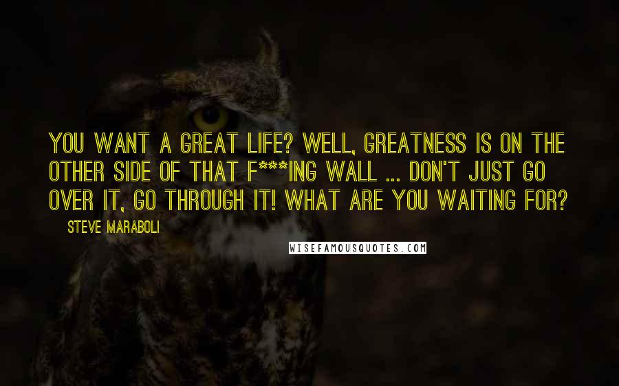 Steve Maraboli Quotes: You want a great life? Well, greatness is on the other side of that f***ing wall ... don't just go over it, go through it! What are you waiting for?