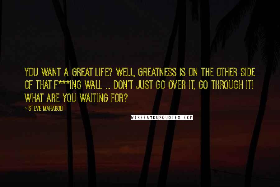 Steve Maraboli Quotes: You want a great life? Well, greatness is on the other side of that f***ing wall ... don't just go over it, go through it! What are you waiting for?