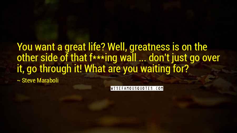 Steve Maraboli Quotes: You want a great life? Well, greatness is on the other side of that f***ing wall ... don't just go over it, go through it! What are you waiting for?