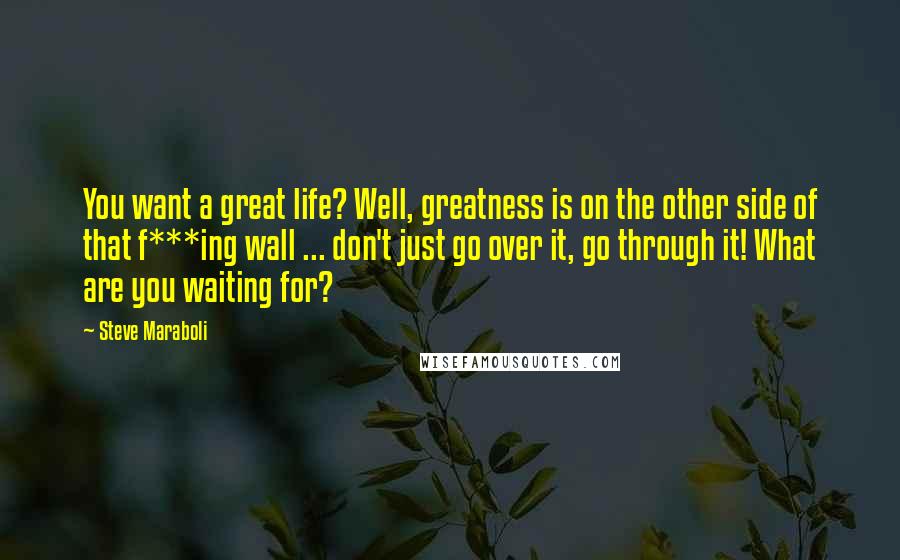 Steve Maraboli Quotes: You want a great life? Well, greatness is on the other side of that f***ing wall ... don't just go over it, go through it! What are you waiting for?