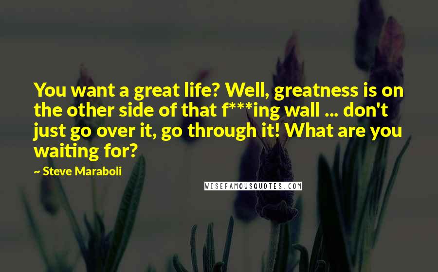 Steve Maraboli Quotes: You want a great life? Well, greatness is on the other side of that f***ing wall ... don't just go over it, go through it! What are you waiting for?