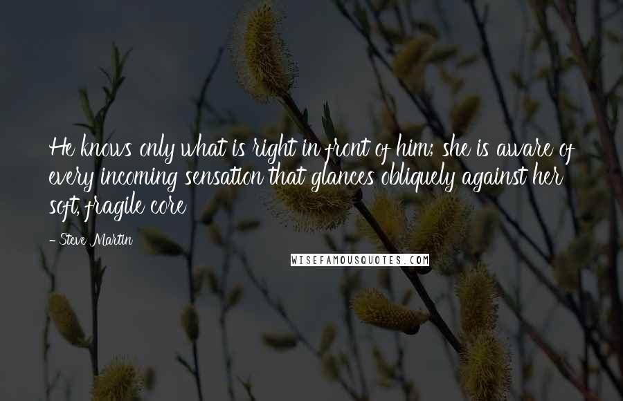 Steve Martin Quotes: He knows only what is right in front of him; she is aware of every incoming sensation that glances obliquely against her soft, fragile core