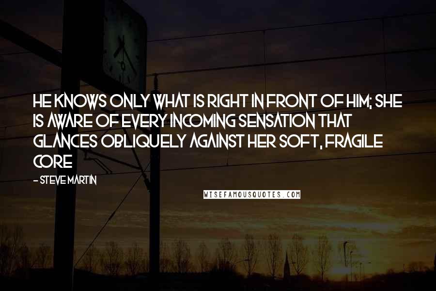 Steve Martin Quotes: He knows only what is right in front of him; she is aware of every incoming sensation that glances obliquely against her soft, fragile core