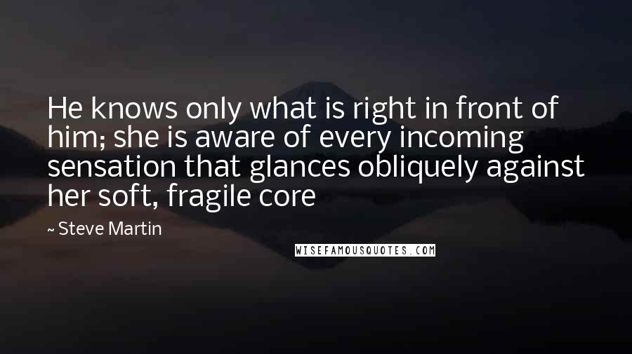 Steve Martin Quotes: He knows only what is right in front of him; she is aware of every incoming sensation that glances obliquely against her soft, fragile core