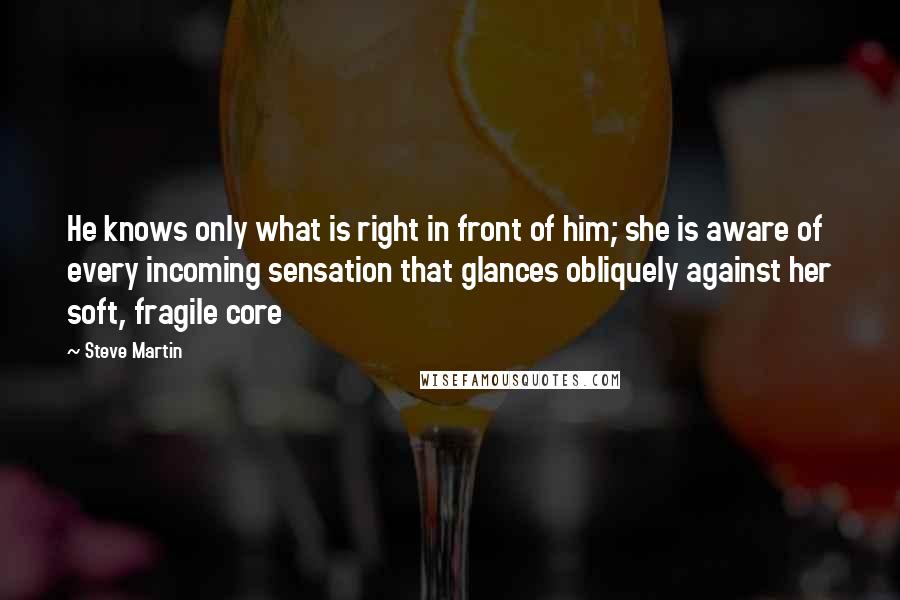 Steve Martin Quotes: He knows only what is right in front of him; she is aware of every incoming sensation that glances obliquely against her soft, fragile core