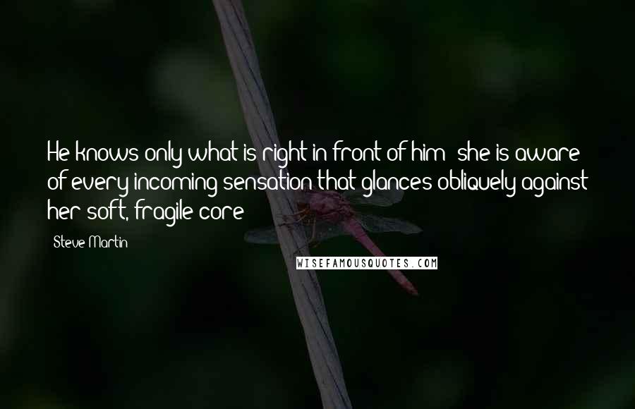 Steve Martin Quotes: He knows only what is right in front of him; she is aware of every incoming sensation that glances obliquely against her soft, fragile core