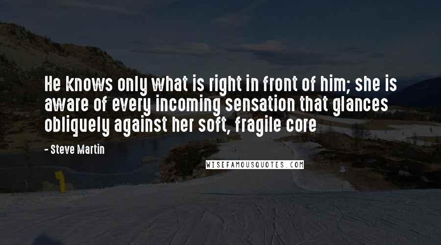 Steve Martin Quotes: He knows only what is right in front of him; she is aware of every incoming sensation that glances obliquely against her soft, fragile core