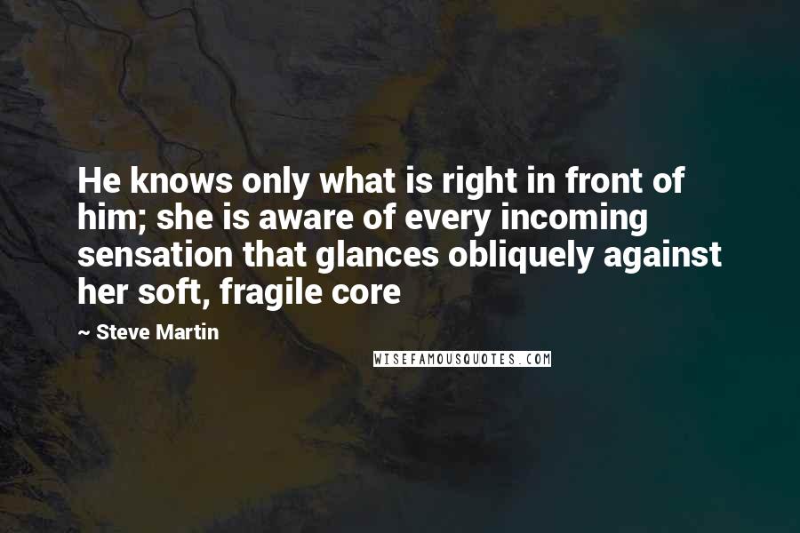 Steve Martin Quotes: He knows only what is right in front of him; she is aware of every incoming sensation that glances obliquely against her soft, fragile core