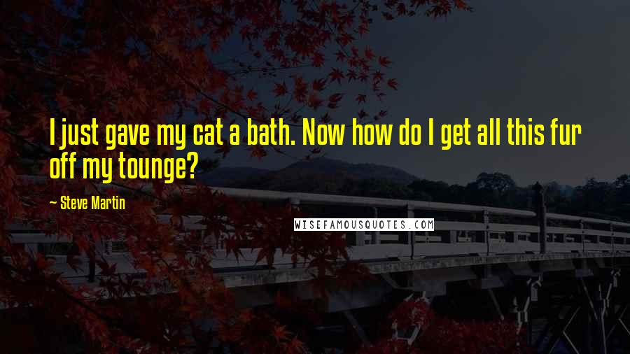 Steve Martin Quotes: I just gave my cat a bath. Now how do I get all this fur off my tounge?