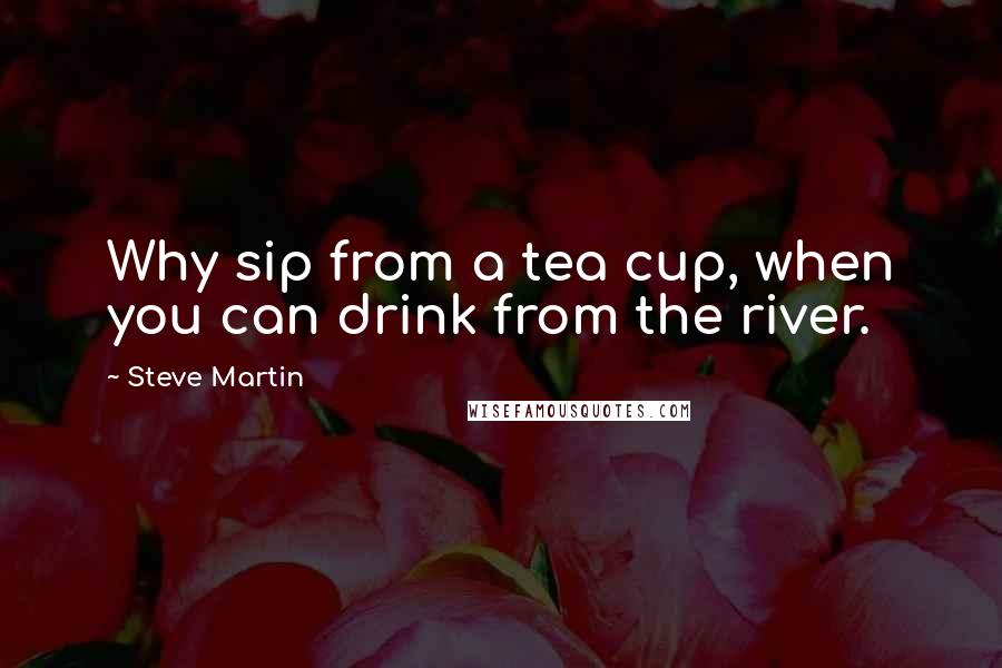 Steve Martin Quotes: Why sip from a tea cup, when you can drink from the river.