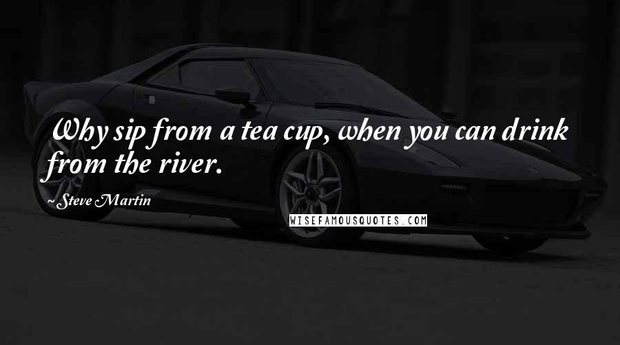 Steve Martin Quotes: Why sip from a tea cup, when you can drink from the river.