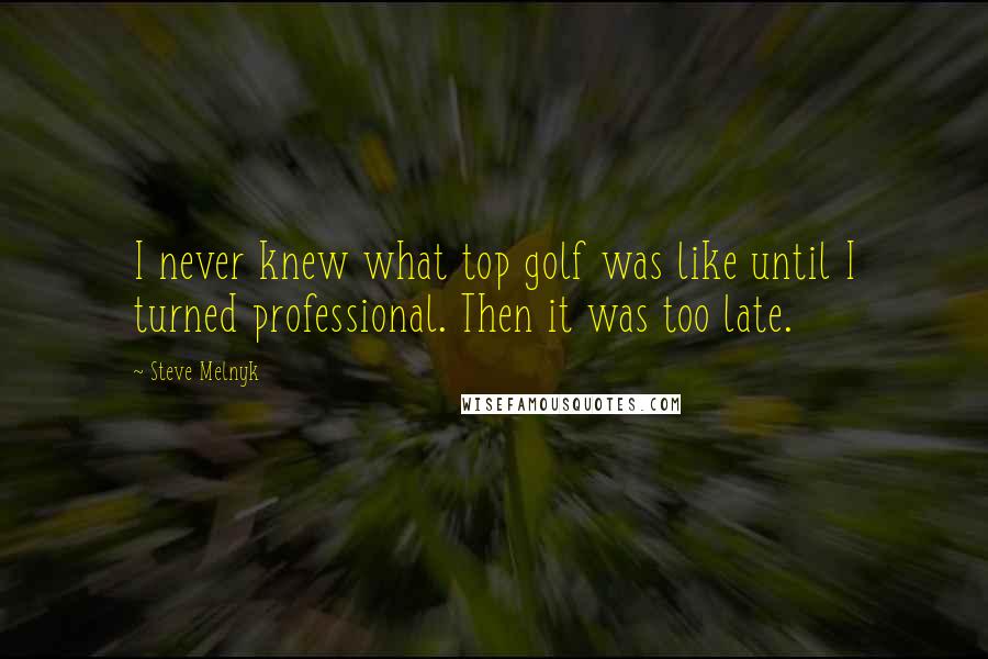Steve Melnyk Quotes: I never knew what top golf was like until I turned professional. Then it was too late.