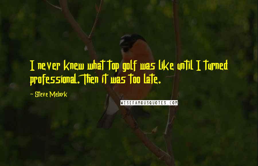 Steve Melnyk Quotes: I never knew what top golf was like until I turned professional. Then it was too late.