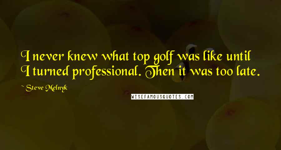 Steve Melnyk Quotes: I never knew what top golf was like until I turned professional. Then it was too late.