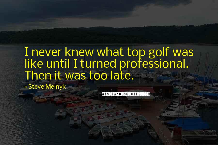Steve Melnyk Quotes: I never knew what top golf was like until I turned professional. Then it was too late.