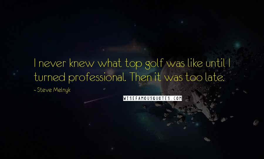 Steve Melnyk Quotes: I never knew what top golf was like until I turned professional. Then it was too late.