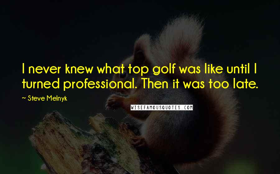 Steve Melnyk Quotes: I never knew what top golf was like until I turned professional. Then it was too late.
