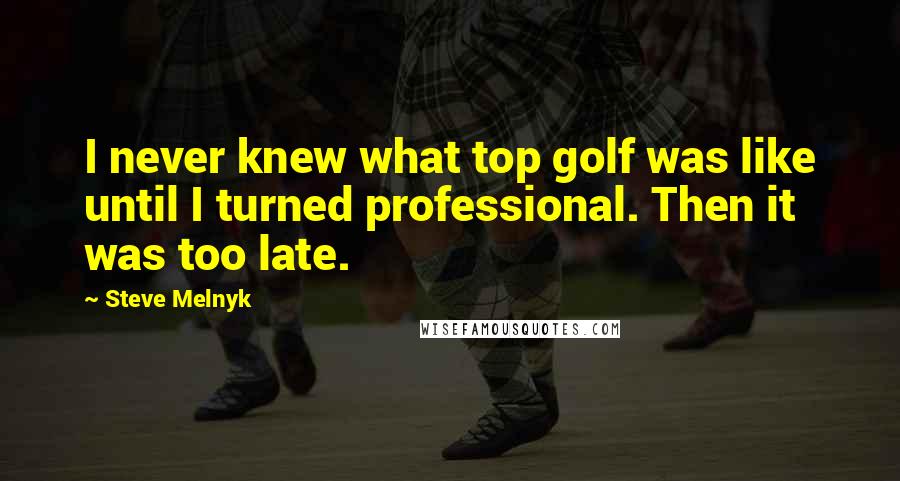 Steve Melnyk Quotes: I never knew what top golf was like until I turned professional. Then it was too late.