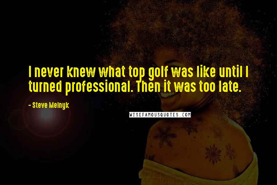 Steve Melnyk Quotes: I never knew what top golf was like until I turned professional. Then it was too late.