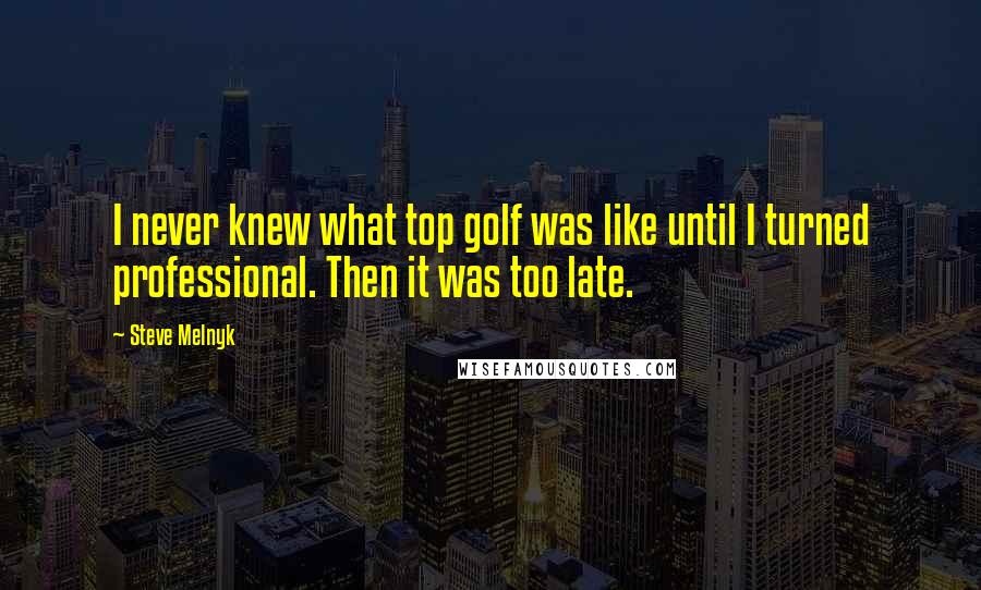 Steve Melnyk Quotes: I never knew what top golf was like until I turned professional. Then it was too late.