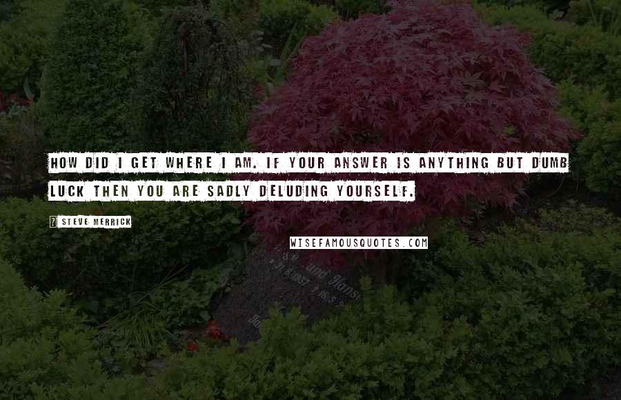 Steve Merrick Quotes: How did I get where I am. If your answer is anything but dumb luck then you are sadly deluding yourself.