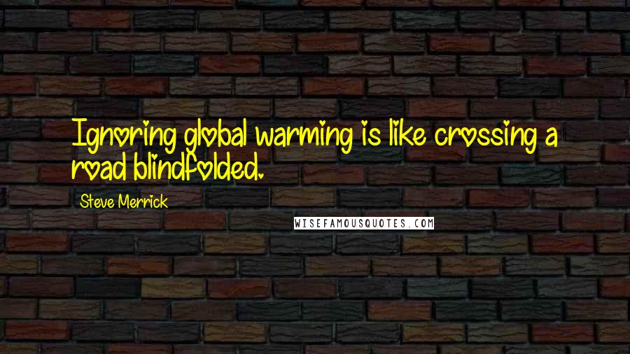 Steve Merrick Quotes: Ignoring global warming is like crossing a road blindfolded.