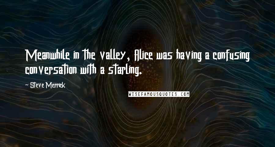 Steve Merrick Quotes: Meanwhile in the valley, Alice was having a confusing conversation with a starling.