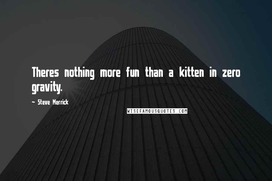 Steve Merrick Quotes: Theres nothing more fun than a kitten in zero gravity.