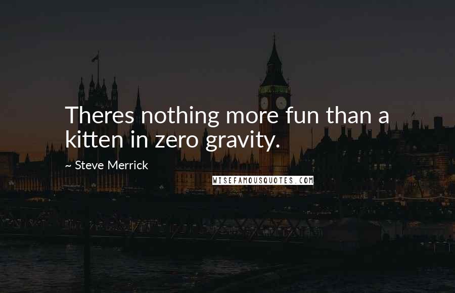 Steve Merrick Quotes: Theres nothing more fun than a kitten in zero gravity.