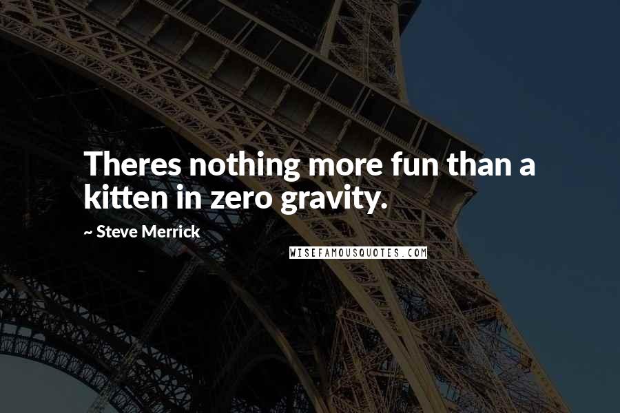 Steve Merrick Quotes: Theres nothing more fun than a kitten in zero gravity.