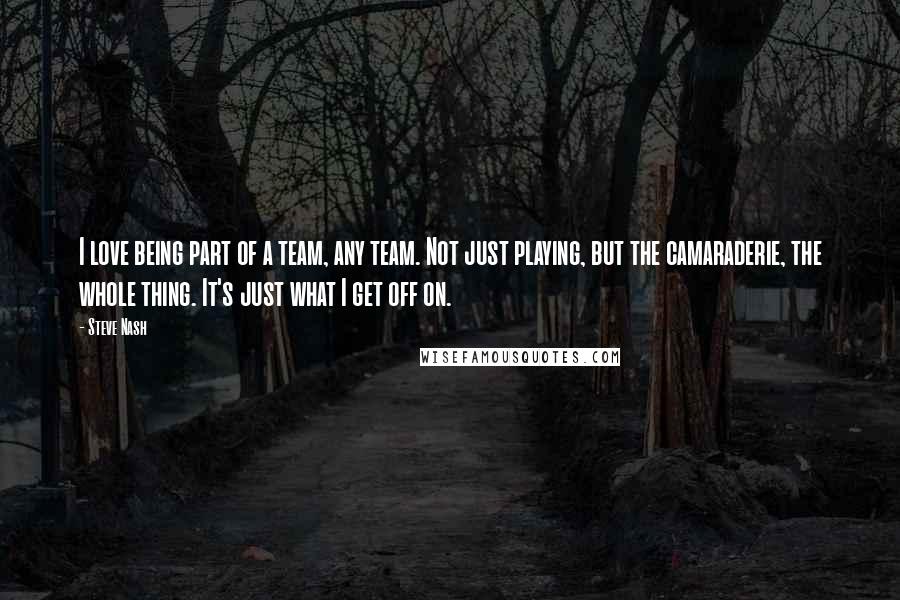 Steve Nash Quotes: I love being part of a team, any team. Not just playing, but the camaraderie, the whole thing. It's just what I get off on.