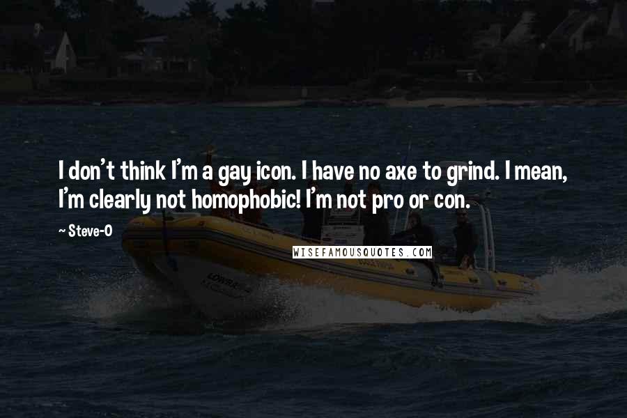 Steve-O Quotes: I don't think I'm a gay icon. I have no axe to grind. I mean, I'm clearly not homophobic! I'm not pro or con.