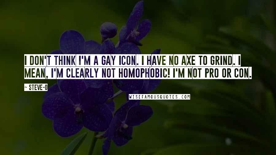 Steve-O Quotes: I don't think I'm a gay icon. I have no axe to grind. I mean, I'm clearly not homophobic! I'm not pro or con.