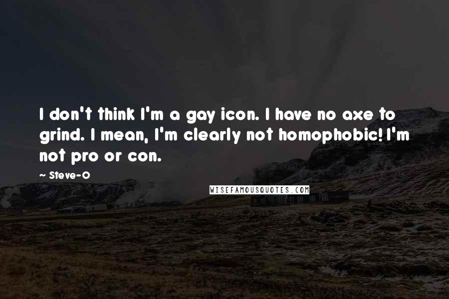 Steve-O Quotes: I don't think I'm a gay icon. I have no axe to grind. I mean, I'm clearly not homophobic! I'm not pro or con.