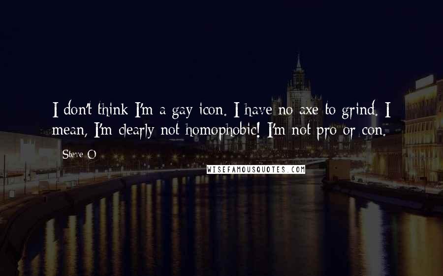 Steve-O Quotes: I don't think I'm a gay icon. I have no axe to grind. I mean, I'm clearly not homophobic! I'm not pro or con.