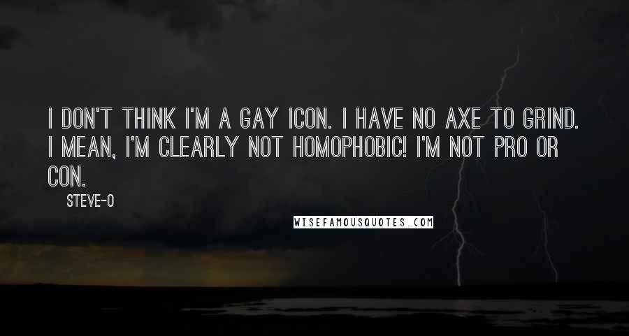 Steve-O Quotes: I don't think I'm a gay icon. I have no axe to grind. I mean, I'm clearly not homophobic! I'm not pro or con.