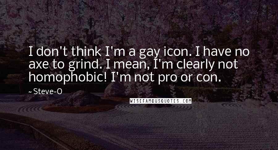 Steve-O Quotes: I don't think I'm a gay icon. I have no axe to grind. I mean, I'm clearly not homophobic! I'm not pro or con.