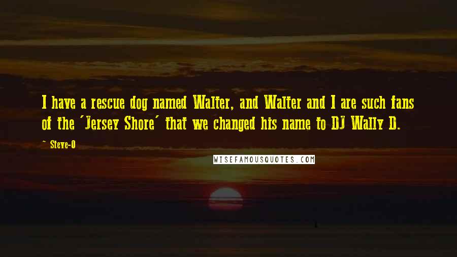 Steve-O Quotes: I have a rescue dog named Walter, and Walter and I are such fans of the 'Jersey Shore' that we changed his name to DJ Wally D.