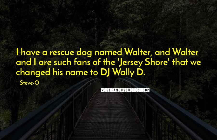 Steve-O Quotes: I have a rescue dog named Walter, and Walter and I are such fans of the 'Jersey Shore' that we changed his name to DJ Wally D.