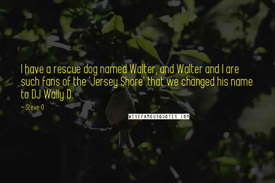 Steve-O Quotes: I have a rescue dog named Walter, and Walter and I are such fans of the 'Jersey Shore' that we changed his name to DJ Wally D.