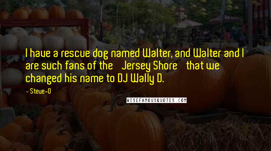 Steve-O Quotes: I have a rescue dog named Walter, and Walter and I are such fans of the 'Jersey Shore' that we changed his name to DJ Wally D.
