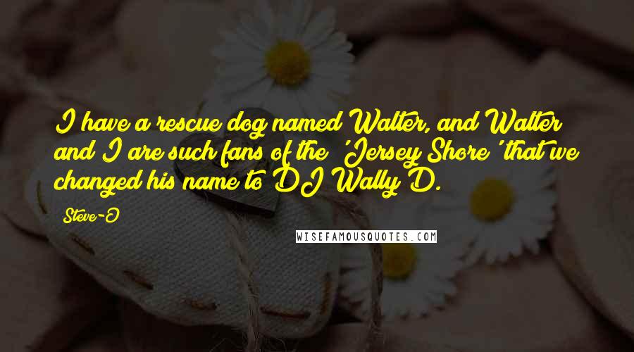 Steve-O Quotes: I have a rescue dog named Walter, and Walter and I are such fans of the 'Jersey Shore' that we changed his name to DJ Wally D.