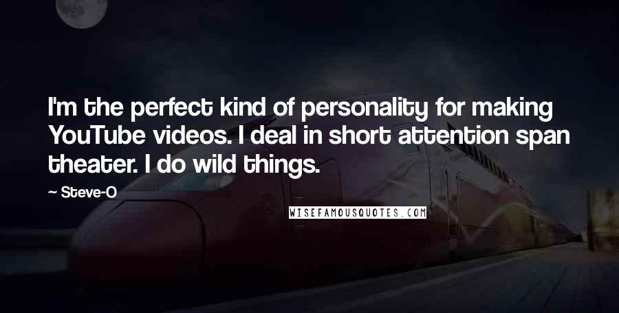 Steve-O Quotes: I'm the perfect kind of personality for making YouTube videos. I deal in short attention span theater. I do wild things.
