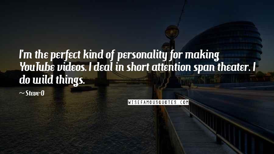 Steve-O Quotes: I'm the perfect kind of personality for making YouTube videos. I deal in short attention span theater. I do wild things.